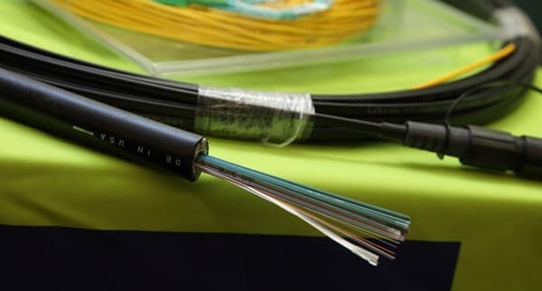 Fidium fiber strands 600 600 p l 97 Fidium fiber strands 600 600 p l 97